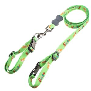 Factory Direct Nylon Dog Leash and Collar Set