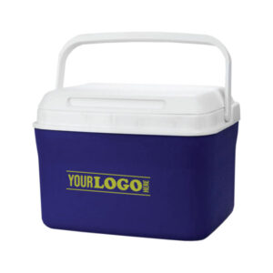 Promotional Drayton 4.5L Cooler Box